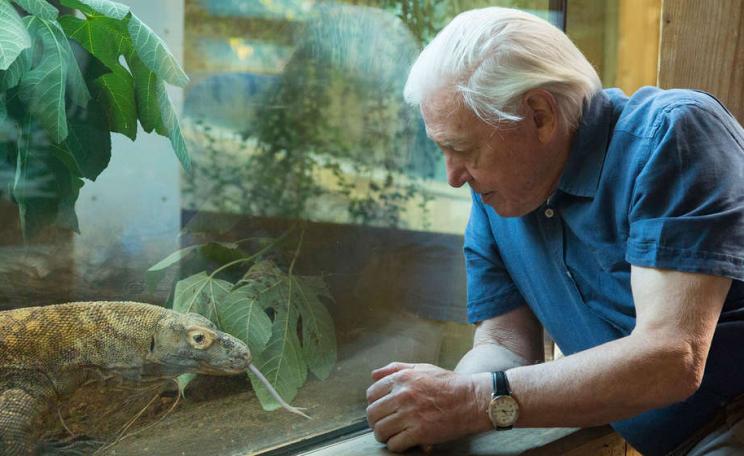 David Attenborough at London Zoo