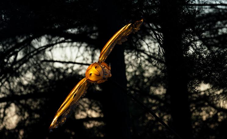 A model of an owl flying through a forest.