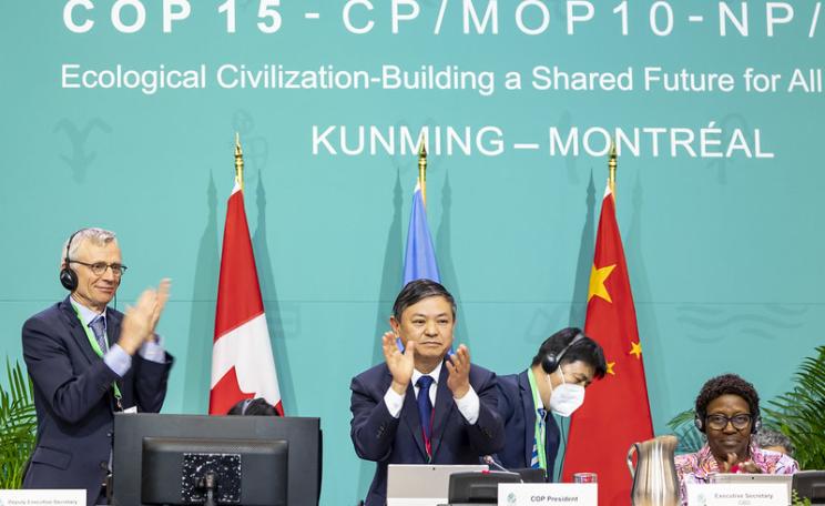 The new deal for nature was agreed by countries in the small hours of the morning