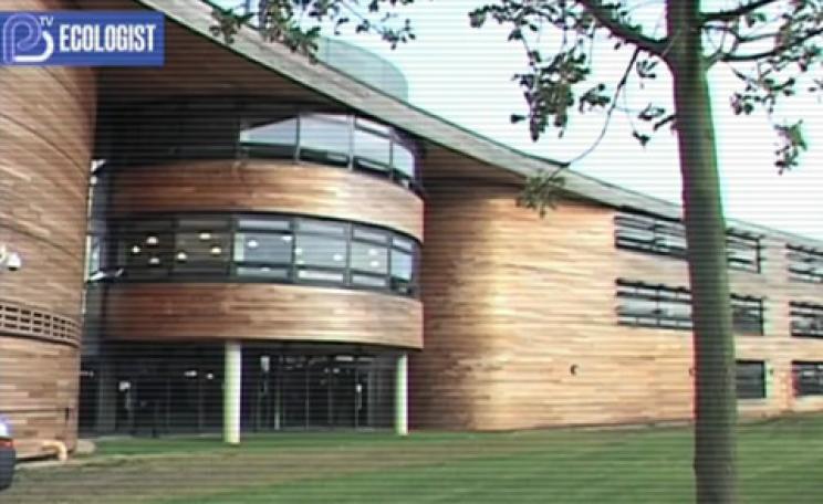 langley academy