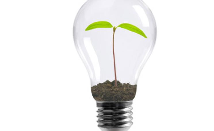 Light bulb