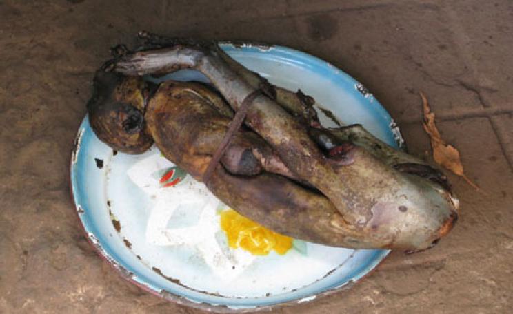 bush meat