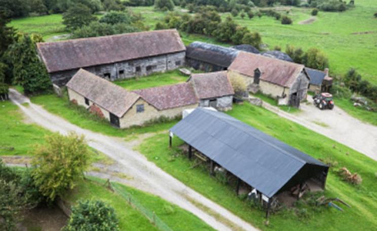 A farm