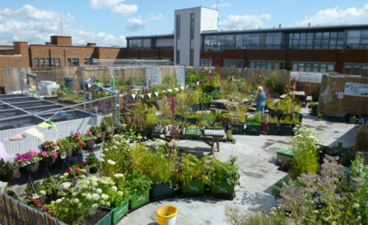 Supermarket rooftop garden