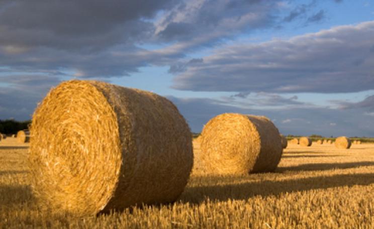 Are straw bales the future of sustainable building?