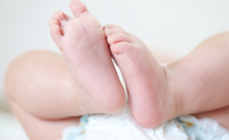 Baby feet. Photo:  Denis Vrublevski / Shutterstock.com.