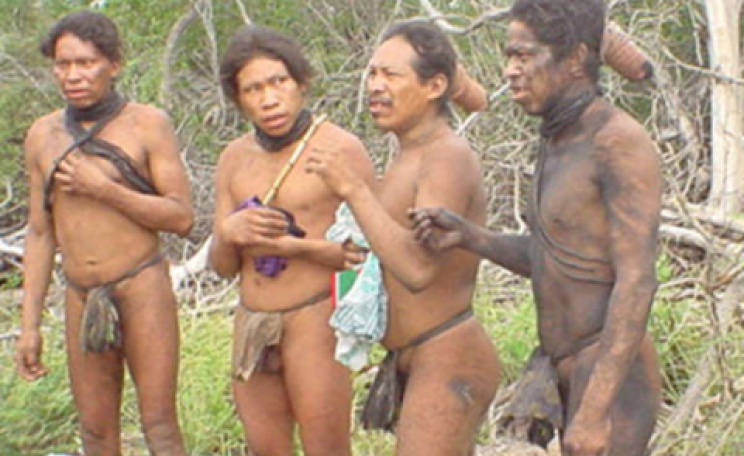 Ranching companies are intent on clearing the last forest refuge of the uncontacted Ayoreo tribe. Photo: © GAT / Survival.