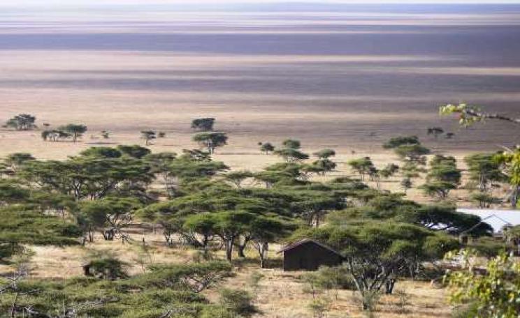 Threat on the horizon. The iconic Serengeti - home to one of the world’s greatest wildlife migrations - could be bisected by a mining-boom highway. Photo: William Laurance.