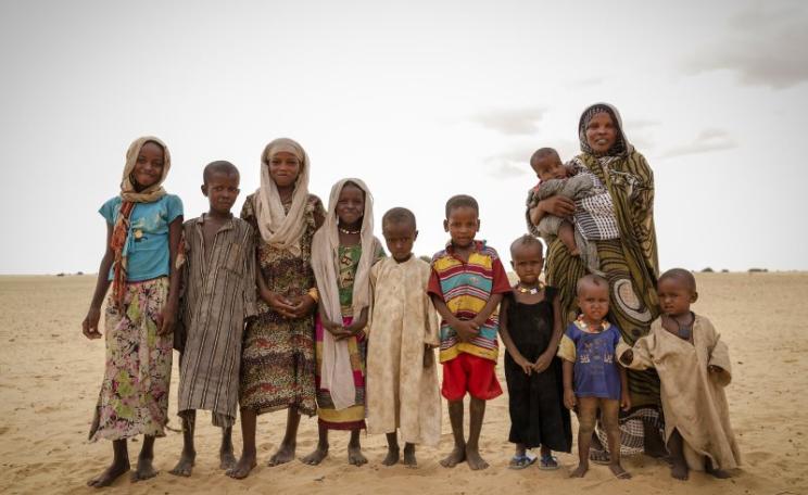 Achta and her family fled drought in Northern Chad after drought killed all their animals: goats, sheep, camels and cattle. Photo: © World Food Programme / Chris Terry, supported by the EU, via Flickr (CC NY-NC-ND).