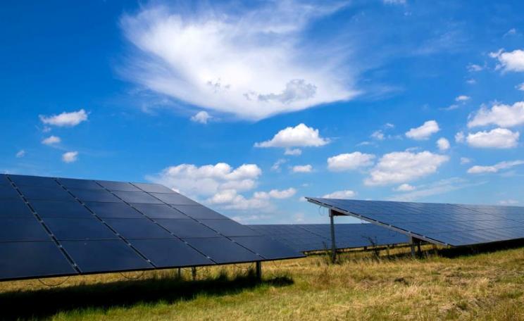 A field of solar panels under a blue sky