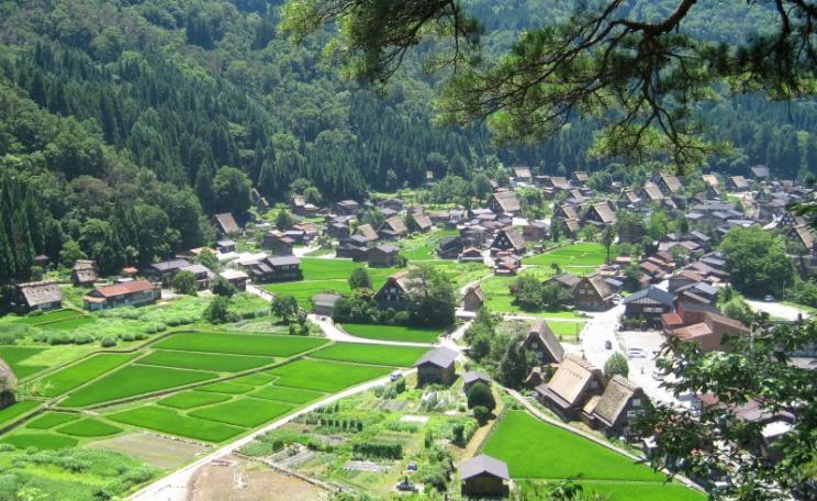 Village rice fields, Hida Shirakawa-go, Gifu-ken, Japan, July 2010. Photo: Joel Abroad via Flickr (CC BY-NC-SA).