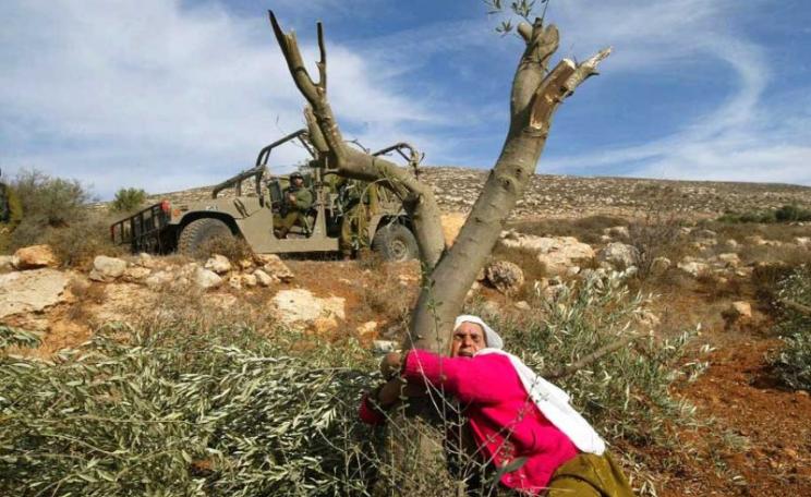 A Palestinan woman protecting an olive tree from destruction. Photo: intifada.de via Frank M. Rafik on Flickr (CC BY-NC-SA).
