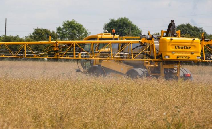 What the European Parliament wanted to ban: glyphosate being applied to oilseed rape as a pre-harvest dessicant. Photo: Chafer Machinery via Flickr (CC BY).