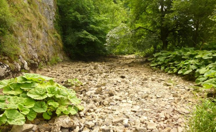 Temporary streams are set to become an increasingly common landscape feature in the UK. The River Manifold (Staffordshire, UK) already experiences annual drying due to features of the underlying bedrock. Photo: Tory Milner.