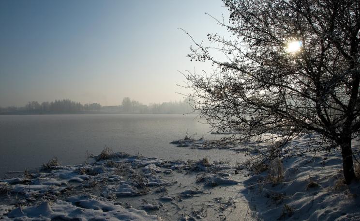 The sunlight filters through, warming the surface of a frozen lake. (c) Michal Osmenda, Brussels