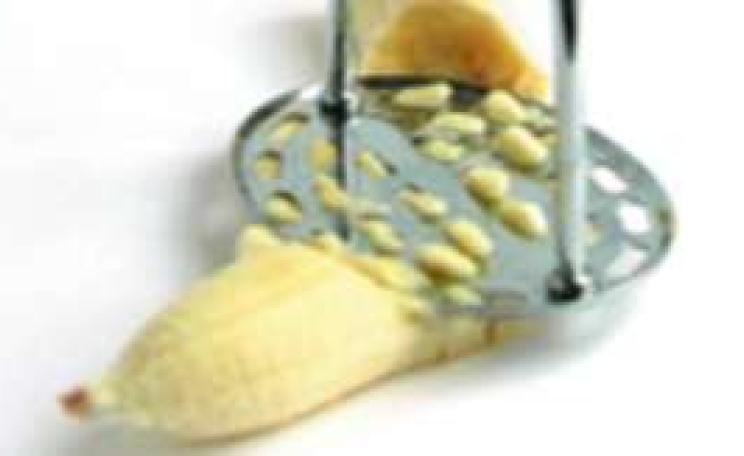 Baby-food_MAIN.jpg