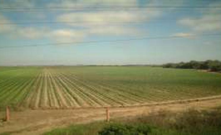 Farmland_3.jpg