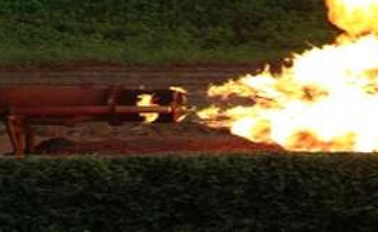 poison_fire_flare_WEB.jpg