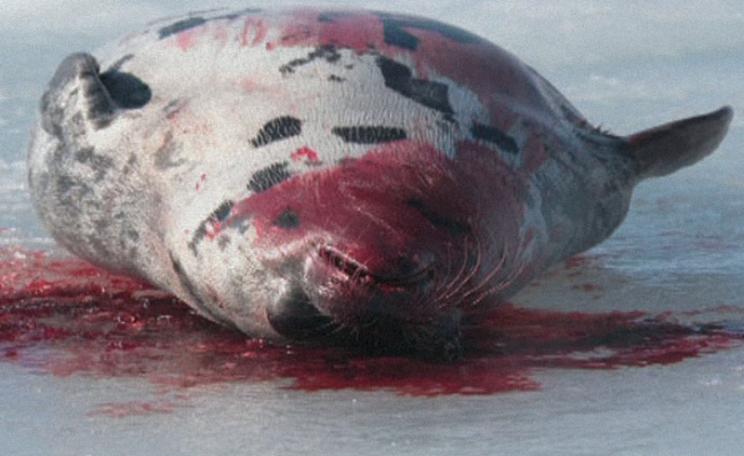 Seal