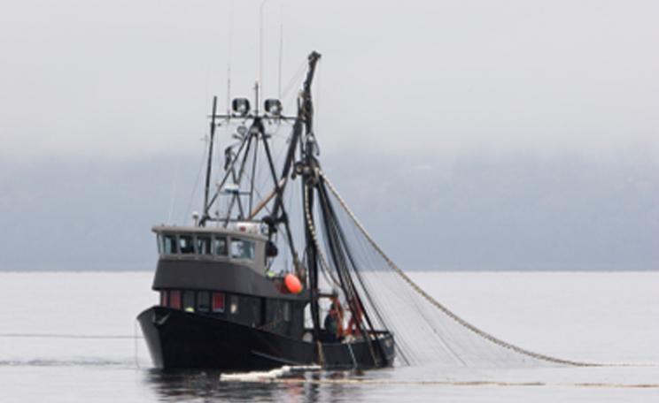 A fishing trawler with nets