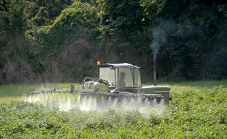 Spraying pesticides by tractor